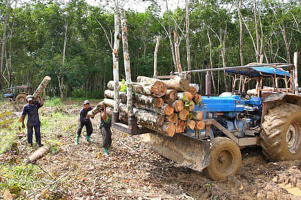 Elagage abatage ramassage rondins bois tracteur SH 121003